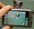 FujiFilm Finepix Z700, prima fotocamera compatta che riconosce gli animali
