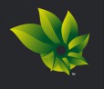 Microsoft Photosynth chiude definitivamente