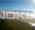 Foxconn produrrà gli smartphone Android di Nokia, Europa tra i primi mercati | Rumor