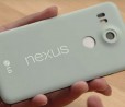 LG si prende una pausa dai terminali Nexus: nessun programma per il 2016