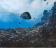 Google annuncia VR View: foto e video a 360° da incorporare su siti web ed applicazioni