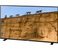 Sony annuncia il monitor Ultra HD 55" OLED PVM-X550 con HDR