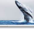 Smartisan M1 ed M1L, due nuovi top di gamma con Snapdragon 821, 6GB di RAM e chip audio Hi-Fi