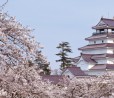 Fukushima: a 6 anni dal disastro si valuta il ripopolamento di alcune aree