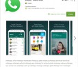 Oltre 50.000 persone hanno installato Whatshup, il WhatsApp Fake per Android