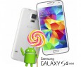 Nuove conferme per Android Lollipop su Galaxy S5 Mini da Samsung Danimarca
