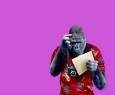 Il miglior smartphone top di gamma 2016 per gli utenti HDblog è? | Sondaggio