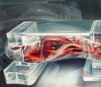 Ricercatori realizzano robot biologici stampati in 3D, con tessuto muscolare come "motore" (video)