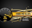 Fastweb prima in Italia per la fibra: 680 mila case hanno la 100 Mega