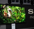 LG fornirà a Sony circa 100.000 pannelli per i TV OLED