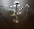 Bat Bot, il primo drone che imita il volo dei pipistrelli