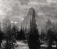 La bellezza della natura vista attraverso una webcam. Foto di Marcus DeSieno