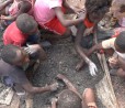 Apple contro il lavoro minorile: stop temporaneo al cobalto dal Congo
