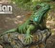 Imagination Technologies presenta la prima GPU PowerVR Furian