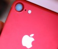 Mercato smartphone: Apple sempre la regina per profitti