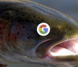 Google Taimen, il successore del Pixel XL sarà prodotto da LG | Rumor