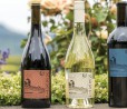 Amazon si dà al vino, negli USA le prime bottiglie Next