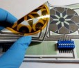 Batterie di carta monouso alimentate dai batteri della saliva