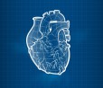 Il cuore alternativa alle impronte digitali per lo sblocco dei dispositivi