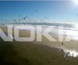 Nokia: acquisizione Alcatel-Lucent approvata anche in India