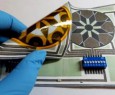 Batterie di carta monouso alimentate dai batteri della saliva
