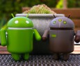 ANDROID, ANDROID ONE e ANDROID GO: Le differenze #parliamone | Video