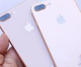 iPhone 8 e 8 Plus: sostituire il retro in vetro può costare molto caro
