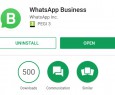 WhatsApp Business, ecco le prime immagini dalla Beta privata